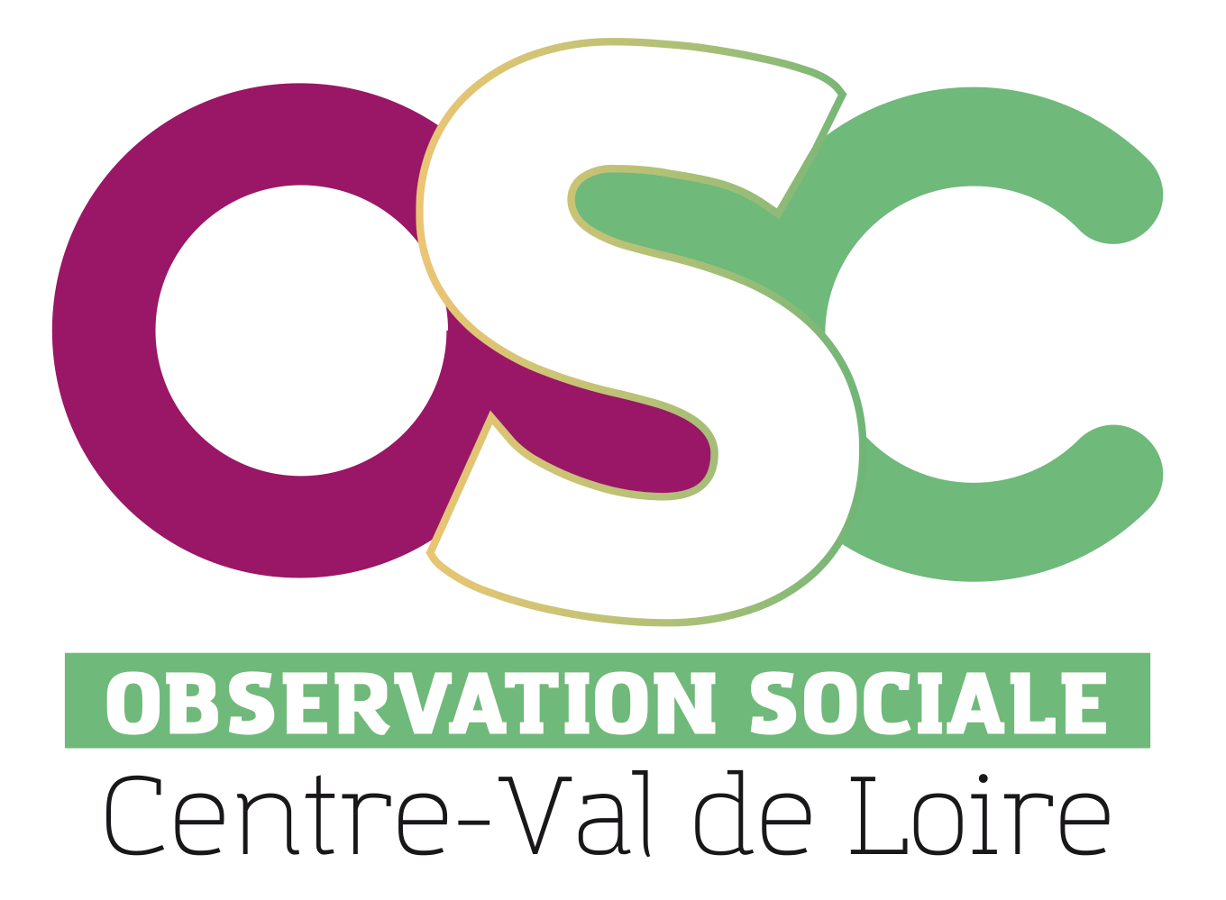 Observation sociale du Centre-Val de Loire